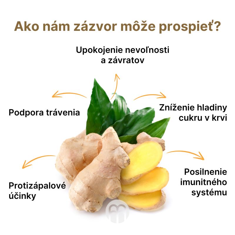 (Slovenčina) Jak nám zázvor může prospět